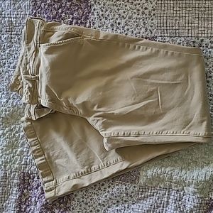 American Eagle size 18 long khaki